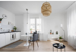 Quelles sont les contre-indications du bambou ?